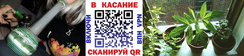 Купить наркотик аптеки Цивильск Псилоцибиновые грибы Альфа ПВП Амфетамин МЕФ Бошки Шишки
