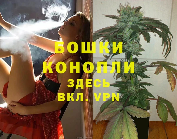 МДПВ Бронницы