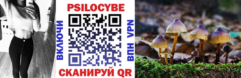 Псилоцибиновые грибы GOLDEN TEACHER Цивильск